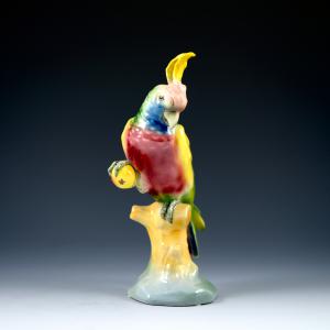 Parrot with apple